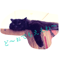[LINEスタンプ] 黒猫cocoさん①