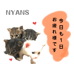 [LINEスタンプ] 動物愛護団体NYANS③