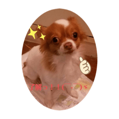 [LINEスタンプ] ももちゅけ。