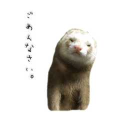 [LINEスタンプ] ロンとロペ