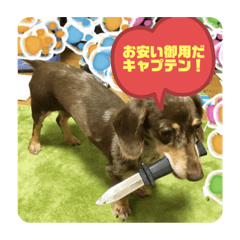 [LINEスタンプ] ぷりん壱