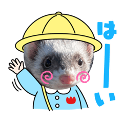 [LINEスタンプ] フェレット〜花鈴＆空の日常スタンプPart③