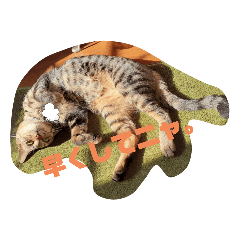 [LINEスタンプ] にゃんにゃん☆さくら