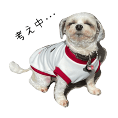 [LINEスタンプ] 小籐次0004