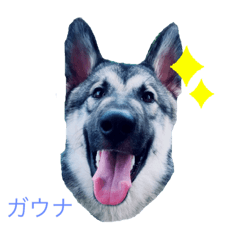 [LINEスタンプ] いぬずスタンプ