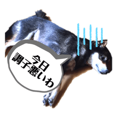 [LINEスタンプ] 奈々様