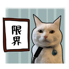 [LINEスタンプ] 働きたくないよスタンプ
