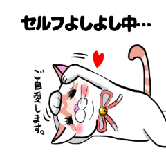 [LINEスタンプ] 白ネコマヨの健全なスタンプ