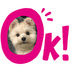 [LINEスタンプ] くまちゃんいぬ♡の日常