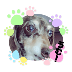 [LINEスタンプ] ぷりん弐