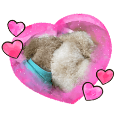 [LINEスタンプ] ぽちゃばっと