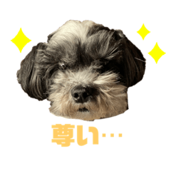 [LINEスタンプ] いさむさん