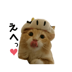 [LINEスタンプ] らんてんスタンプ