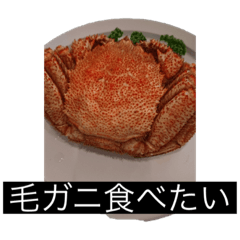 [LINEスタンプ] お姉ちゃん何食べたい？？