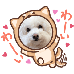 [LINEスタンプ] モフモフモフモフモフモフモフモ