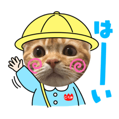 [LINEスタンプ] ただただ可愛い、こうめちゃんのスタンプ♡