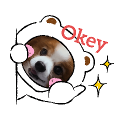 [LINEスタンプ] ぱぴぱぴパピヨン25
