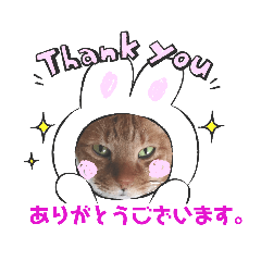 [LINEスタンプ] ふうちゃんの巻 Part2