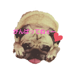 [LINEスタンプ] ブヒ…