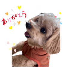 [LINEスタンプ] ぷちゃんland★