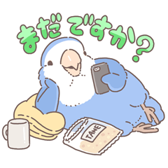 [LINEスタンプ] 可愛く代弁してくれるインコスタンプ