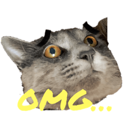 [LINEスタンプ] コロだけ