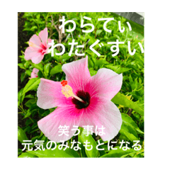 [LINEスタンプ] OKINAWAの景色やお花に癒されて②