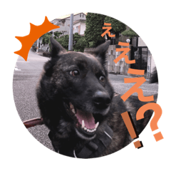 [LINEスタンプ] りりスタンプ'第一弾'