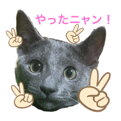 [LINEスタンプ] ロシ夫さんスタンプ1