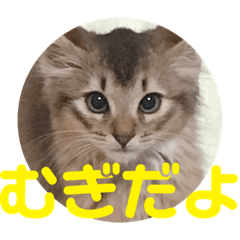 [LINEスタンプ] むぎっぽスタンプ