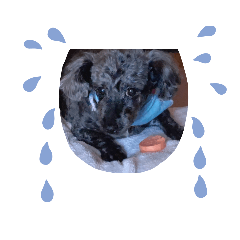 [LINEスタンプ] はなとみるく