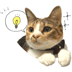 [LINEスタンプ] 三毛猫じじ♀ 2