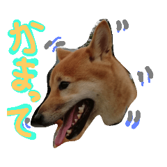[LINEスタンプ] geisha stamps 4n5