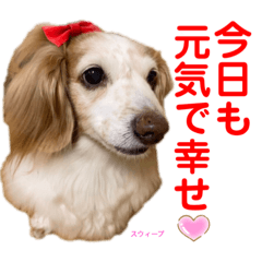 [LINEスタンプ] 赤いりぼんの可愛い仲間達❤️①