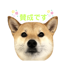 [LINEスタンプ] 小梅スタンプ〈3〉。