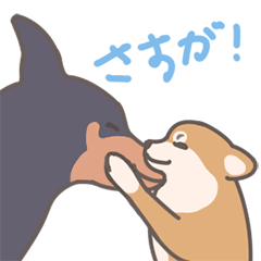 [LINEスタンプ] 毎日フフくんの画像（メイン）