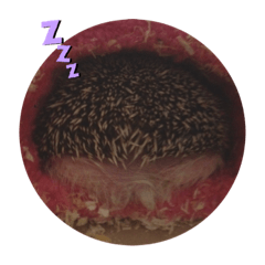 [LINEスタンプ] たわテミ