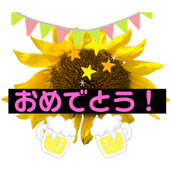 [LINEスタンプ] 向日葵くん