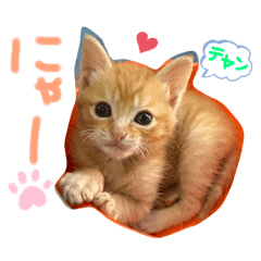 [LINEスタンプ] テヤンくん①