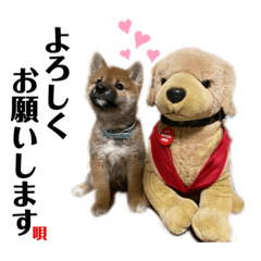 [LINEスタンプ] 唄 〜仔犬編〜