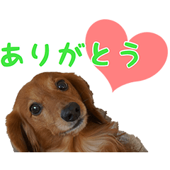[LINEスタンプ] スタンプになったぼく。①