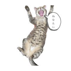 [LINEスタンプ] のぶのぶおの日常