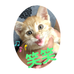 [LINEスタンプ] ぺぺちゃん かわいい毎日 その2