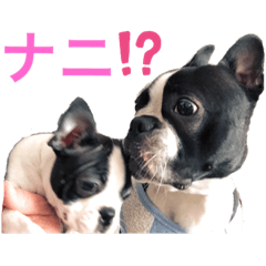 [LINEスタンプ] まるあおPART2