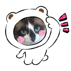 [LINEスタンプ] ねこたちの物語2