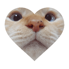 [LINEスタンプ] 笹かま猫