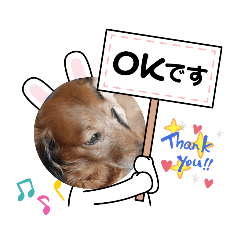 [LINEスタンプ] アポくん