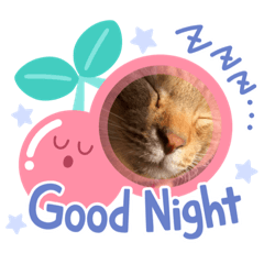 [LINEスタンプ] にゃんこラムちゃん