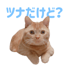 [LINEスタンプ] ツナを愛でたい皆さまへ