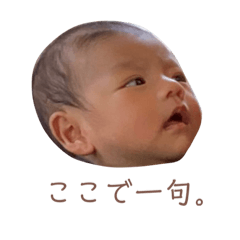 [LINEスタンプ] sara.u ①